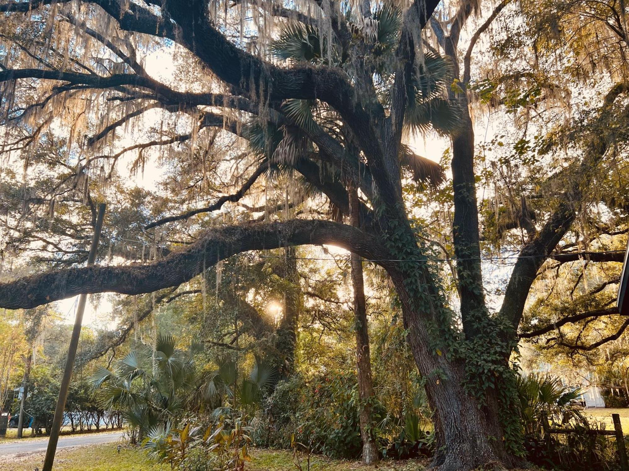 Country Welcome Micanopy Экстерьер фото